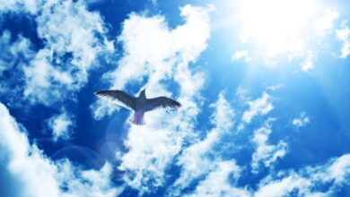 دنیایی بدون سزار: چگونه جامعه AtProto در حال بازسازی وب برای بازگشت قدرت به مردم است