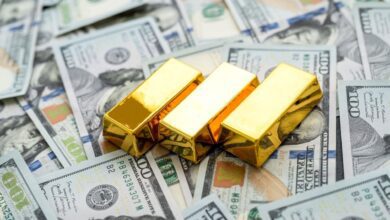 Max Keizer: BRICS برای مقابله با هژمونی دلار از Stablecoin طلا استفاده می کند