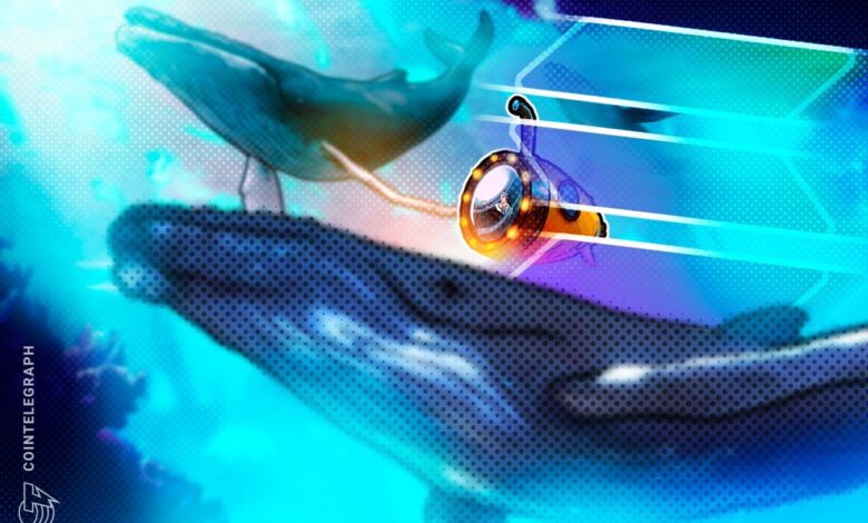 Solana Whale پس از بازی 4 ساله بازی با 153 میلیون دلار سود دارد