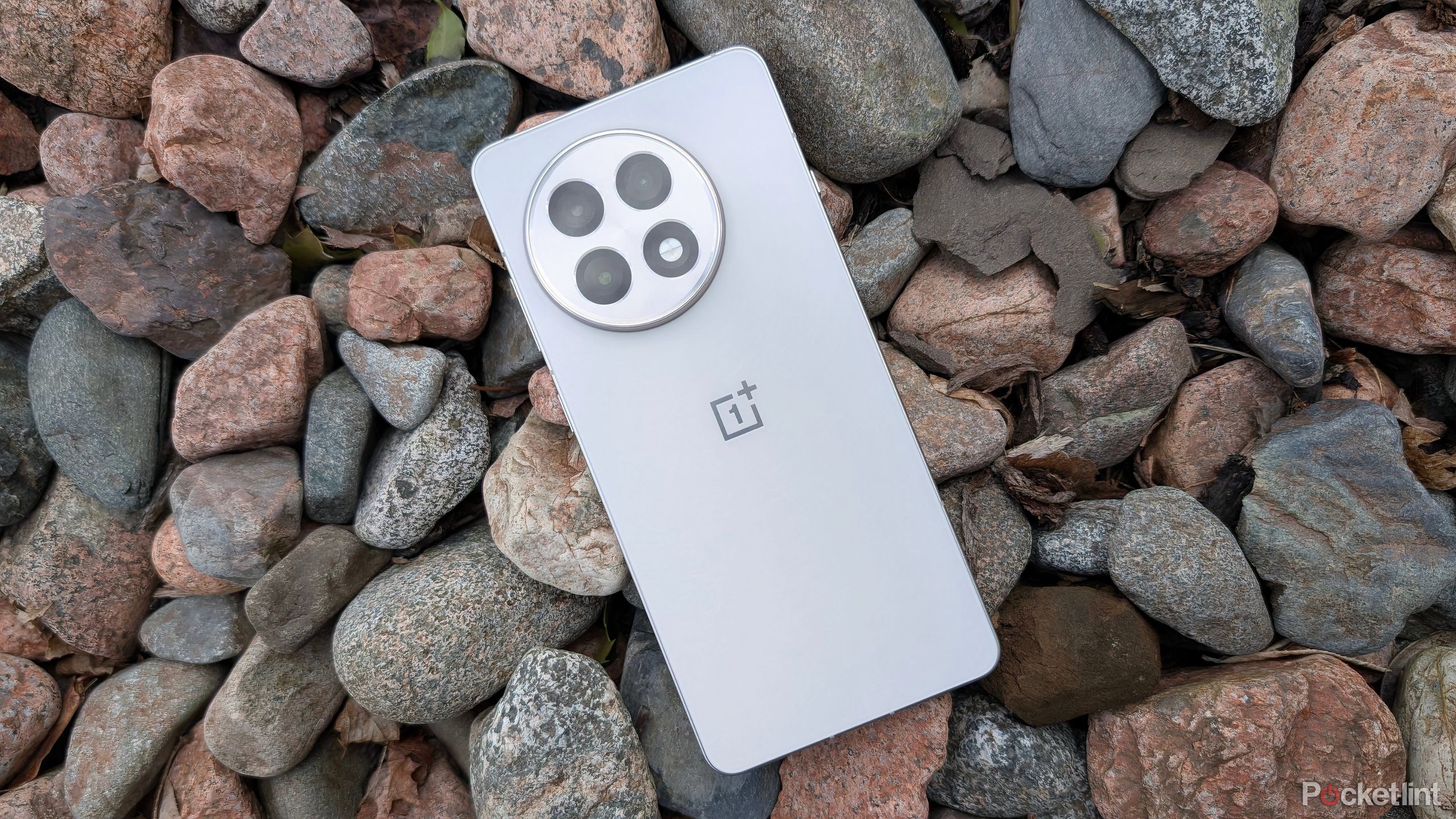 OnePlus 13r Beauty در صخره ها شلیک کرد. 