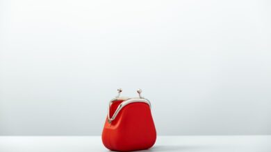 An open red coin purse pictured against a white background