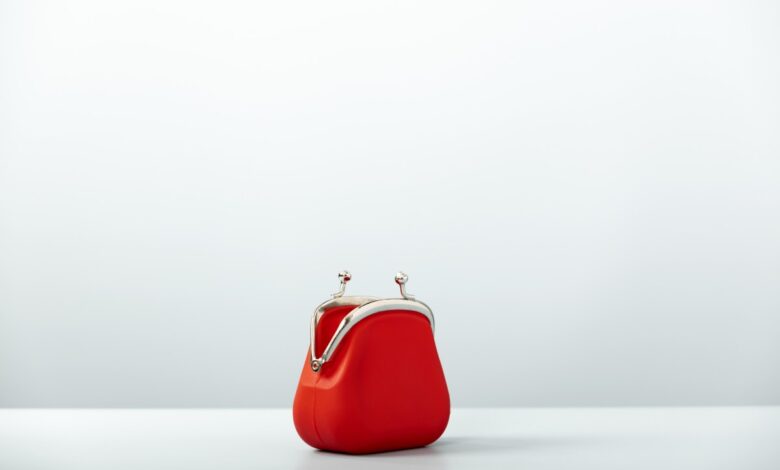 An open red coin purse pictured against a white background