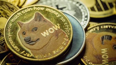 الون ماسک هیچ برنامه ای را برای دولت برای استفاده از Dogecoin روشن نمی کند