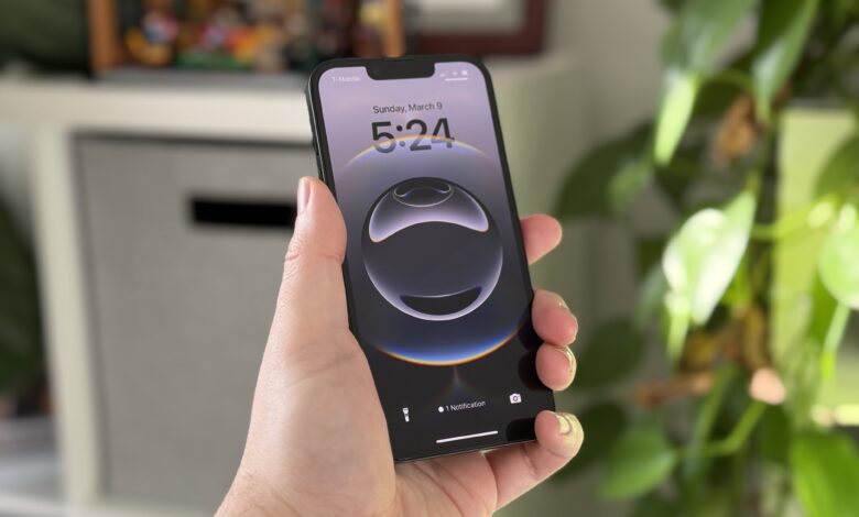 The iPhone 16e notch