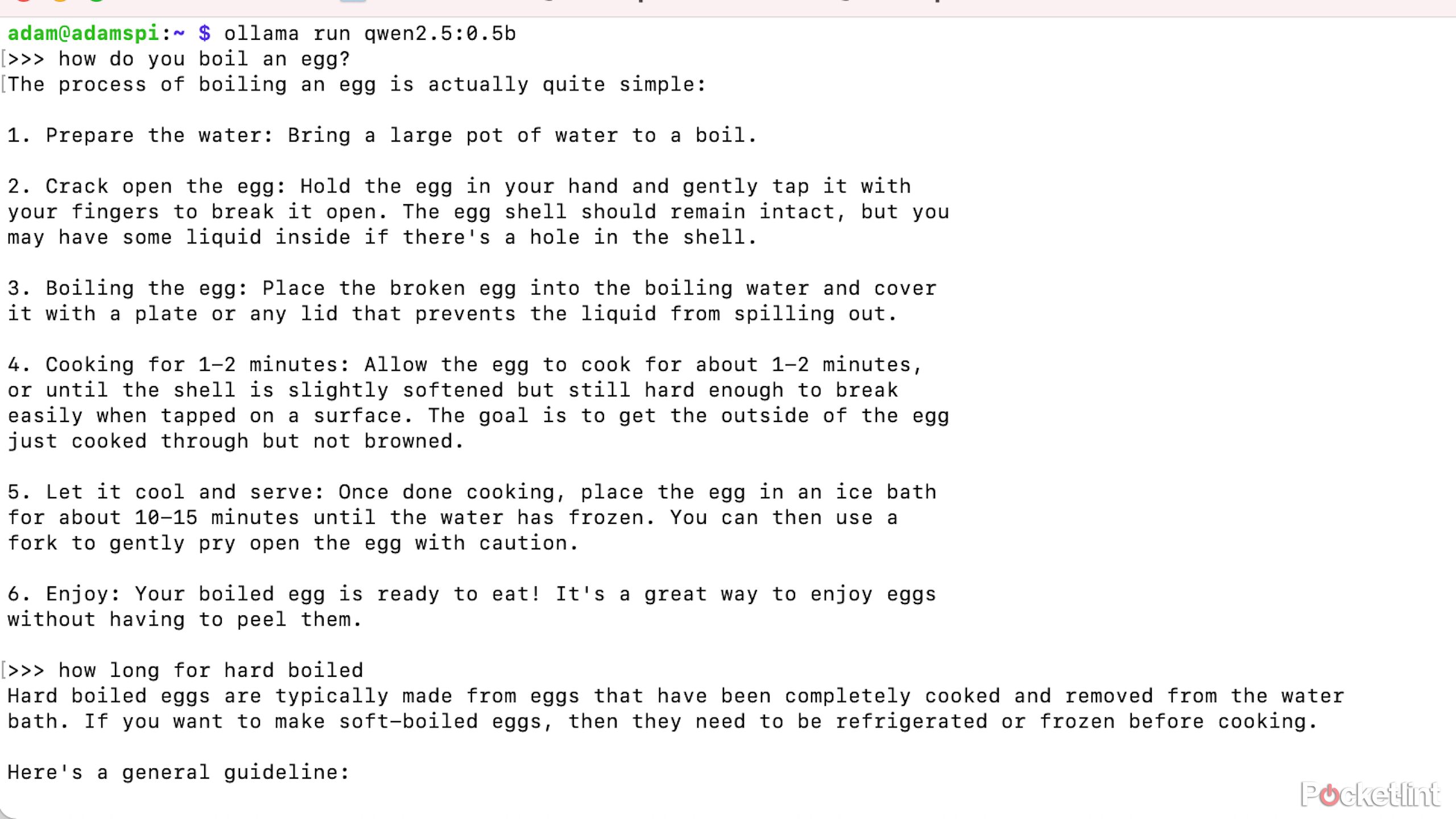LLM در پاسخ به سوالی در مورد چگونگی جوشاندن AGG.