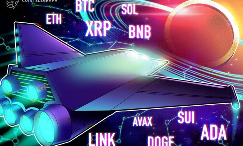 BTC ، ETH ، XRP ، BNB ، Sol ، Doge ، Ada ، Sui ، Link ، Avax
