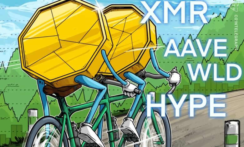 بیت کوین پشتیبانی کلیدی را به عنوان HYPE ، XMR ، AAVE ، WLD LED ALTCOIN RALLY حفظ می کند