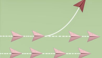 venture capital, VCs, triage, startups