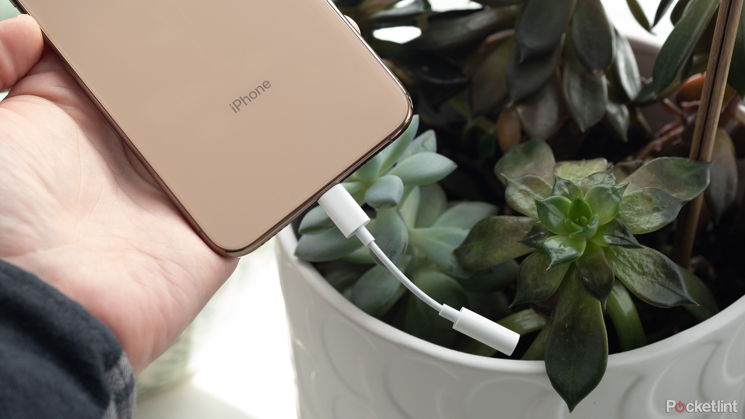 Apple-Lightning-to-5.5mm-Adapter