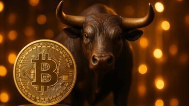 آرتور هیز در مورد هدف بیت کوین 250K دلار ، 1 میلیون دلار جلوتر ، فصل Altcoin هنوز برای اشتعال بحث می کند