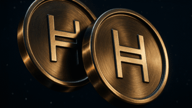 انجمن Hashgraph Hackathon را برای توانمندسازی 10،000 توسعه دهنده آفریقایی ، نوآوری هدایت می کند