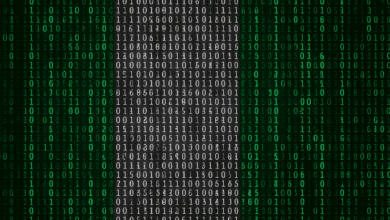 خلبانان گمرکی نیجریه اعلامیه ارز الکترونیکی در فرودگاه ابوجا