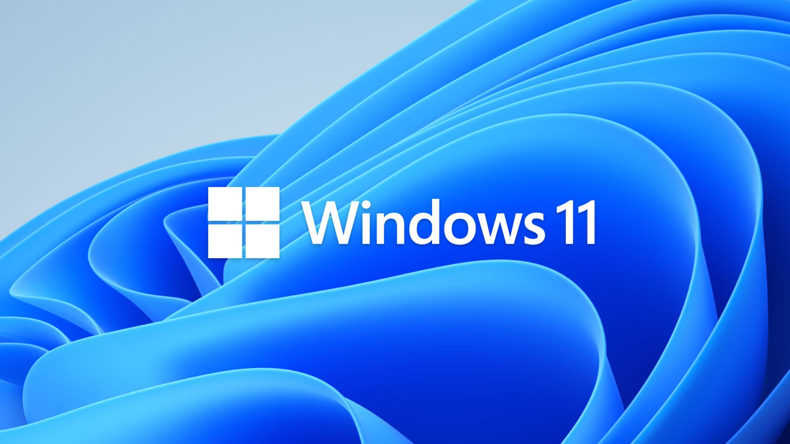 آرم Bloom Microsoft Windows 11 Hero Bloom