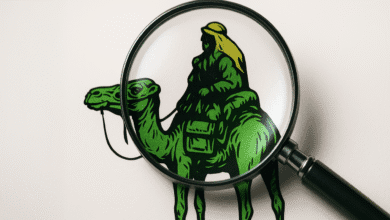 ارواح جاده ابریشم: کیف پول های خفته بیش از 322 میلیون دلار در بیت کوین حرکت می کنند