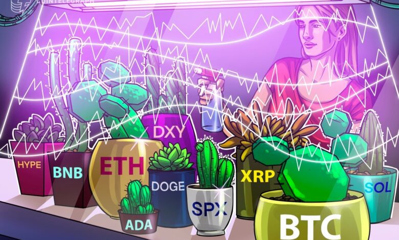 Altcoins پس از برخورد بیت کوین به 123،000 دلار ، اوج های جدید را تعقیب می کند