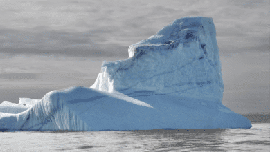 از MIT ، کتابچه راهنمای دستورالعمل برای تبدیل تحقیقات به استارتاپ ها | اخبار MIT