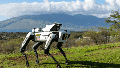 Asylon DroneDog