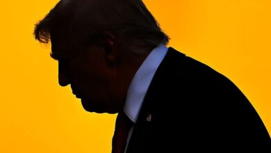 آیا سیلیکون ولی باید برنامه های هوش مصنوعی ترامپ را جشن بگیرد؟