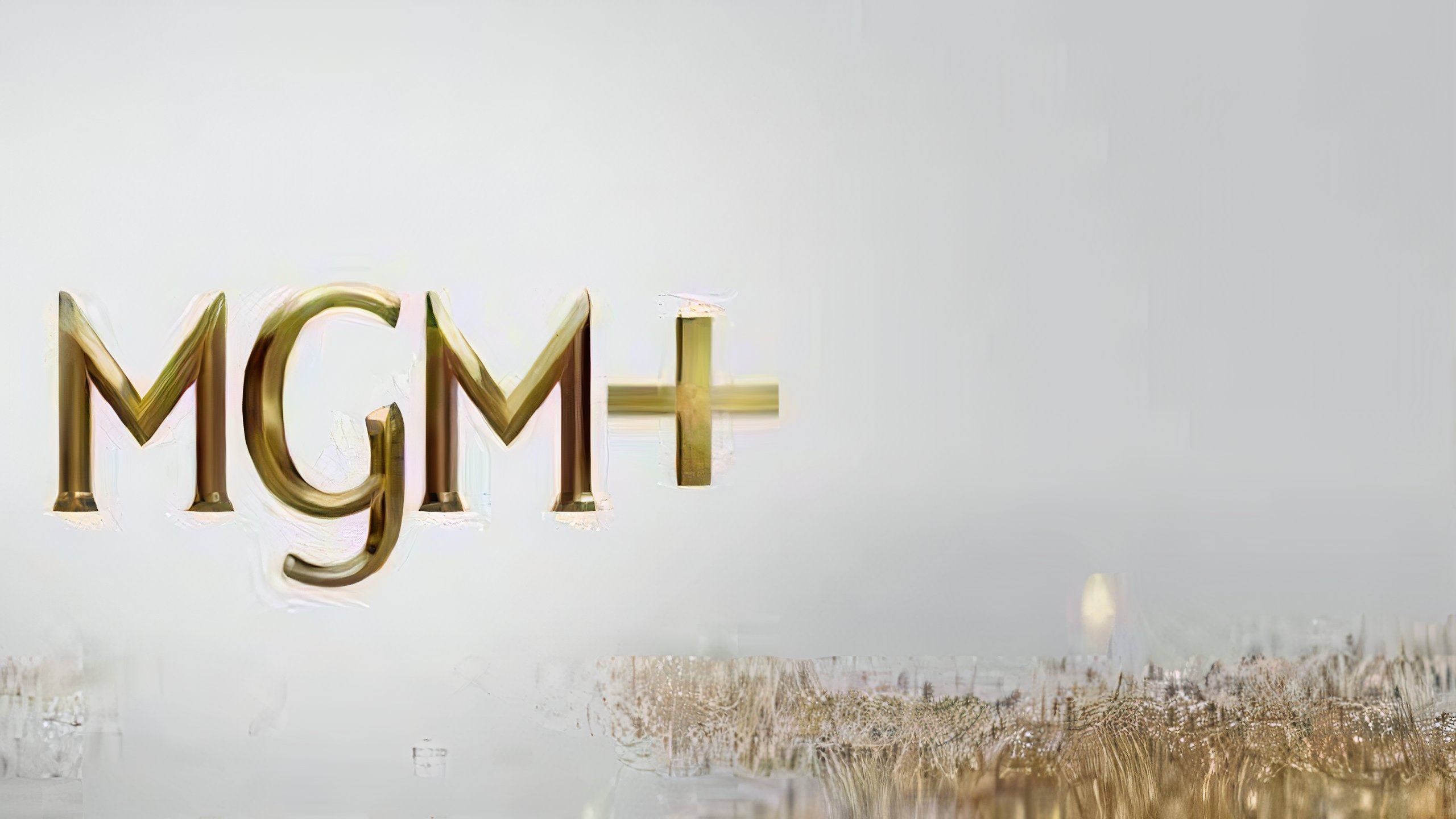 MGM+