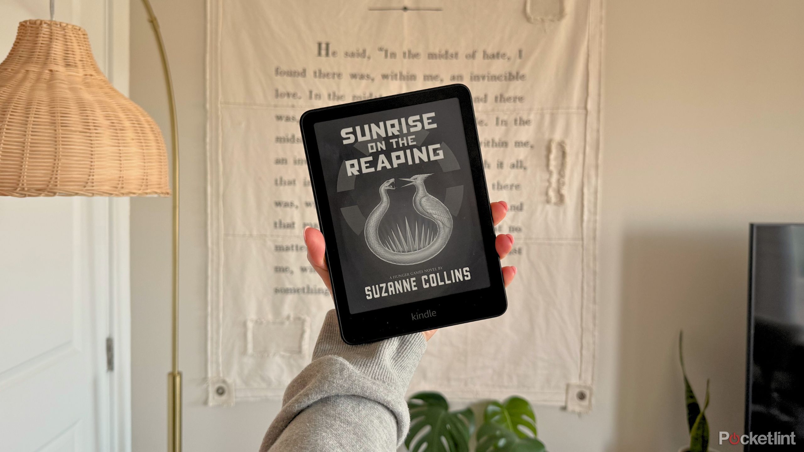 طلوع آفتاب در صفحه درونی Reping در یک Paperwhite Kindle. 