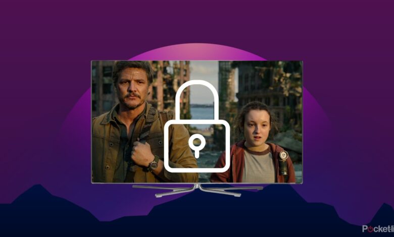 اشتراک گذرواژه برای این سرویس پخش محبوب از بین می رود