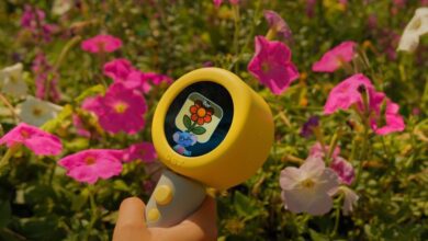 DEX یک دستگاه دوربین با هوش مصنوعی است که به کودکان کمک می کند زبان های جدید را یاد بگیرند