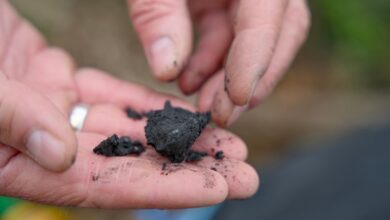 A man holds biochar in his hand.
