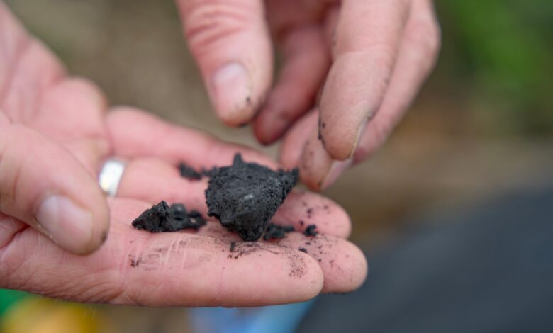 A man holds biochar in his hand.