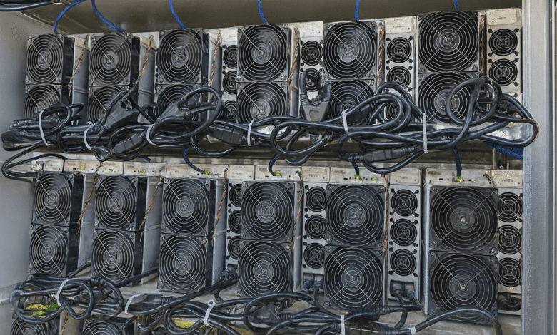 در داخل نیروگاه: 50 سودآورترین معدنچی بیت کوین ، 9-10 اوت ، 2025