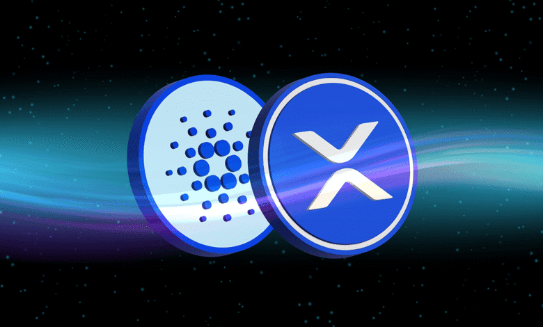 XRP و ADA منجر به ضررهای Altcoin در میان افت بازار