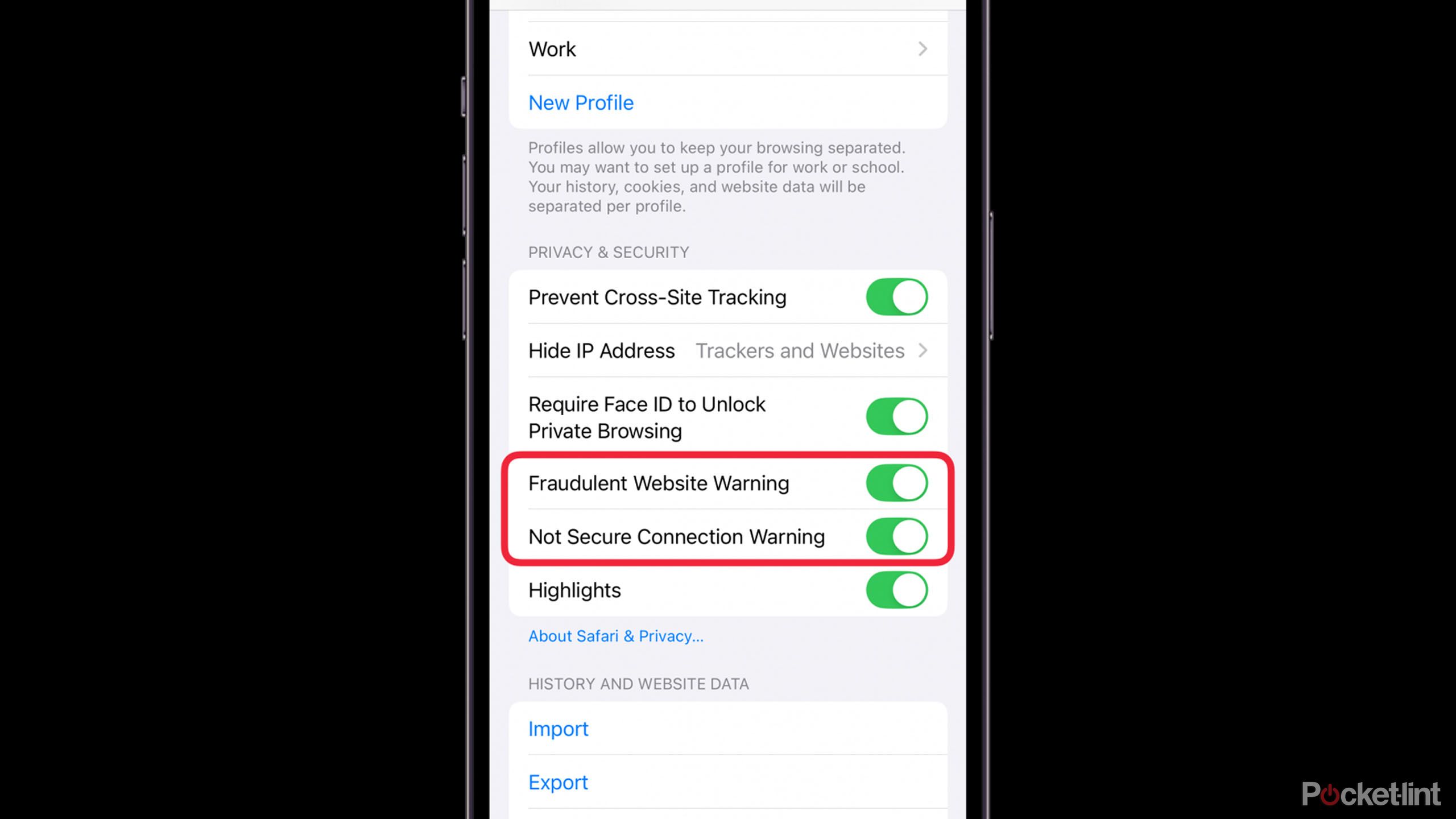 گزینه های ضد فیشینگ در سافاری برای iOS 18.