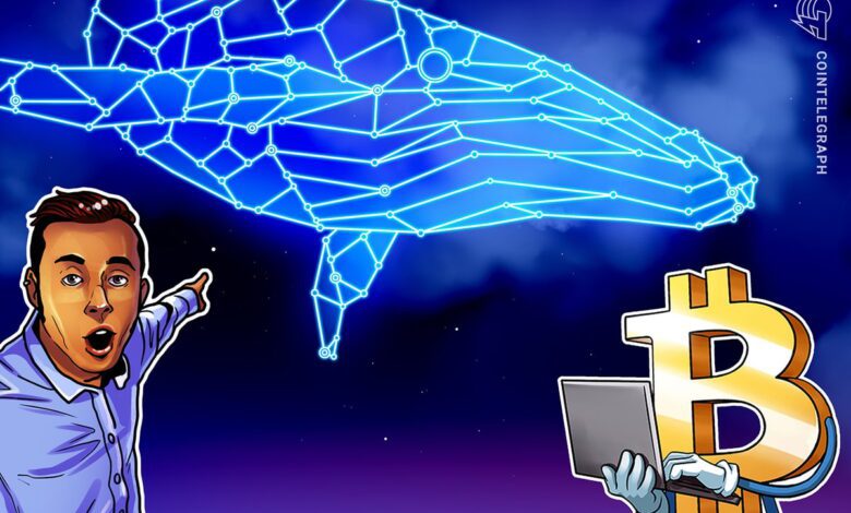 نهنگ پس از 12 سال بیدار می شود ، 1000 BTC را قبل از تصمیم FOMC انتقال می دهد