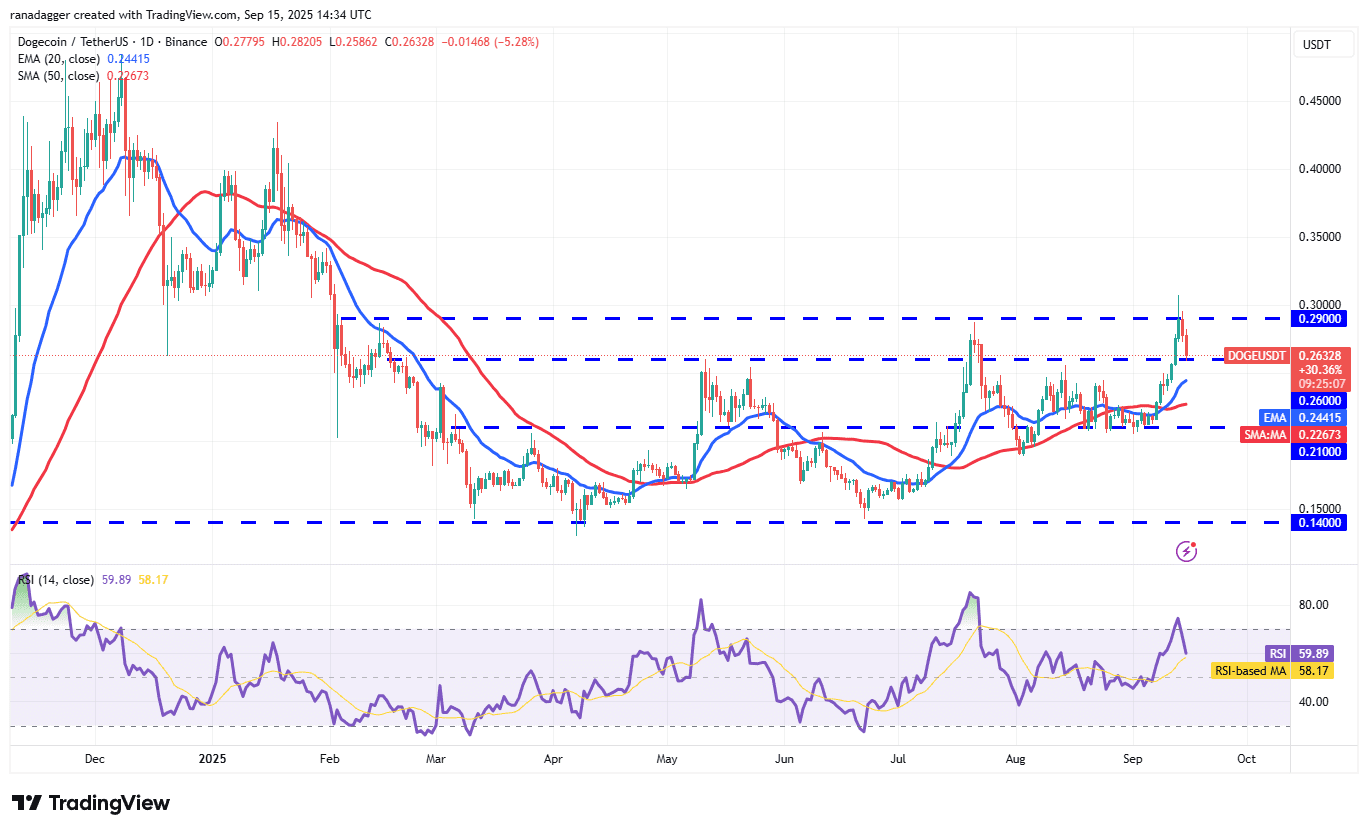 Dogecoin ، Cryptocurrencies ، دلار ، قیمت بیت کوین ، XRP ، بازارها ، تبادل رمزنگاری ، Cardano ، تجزیه و تحلیل قیمت ، سکه دوتایی ، تجزیه و تحلیل بازار ، قیمت اتر ، Solana ، S&P 500 ، نهنگ ، Ethereum ETF ، Bitcoin ETF ، ETF