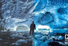 Dolby Vision 2 عالی خواهد بود ، اما من برای آن تلویزیون خریداری نمی کنم