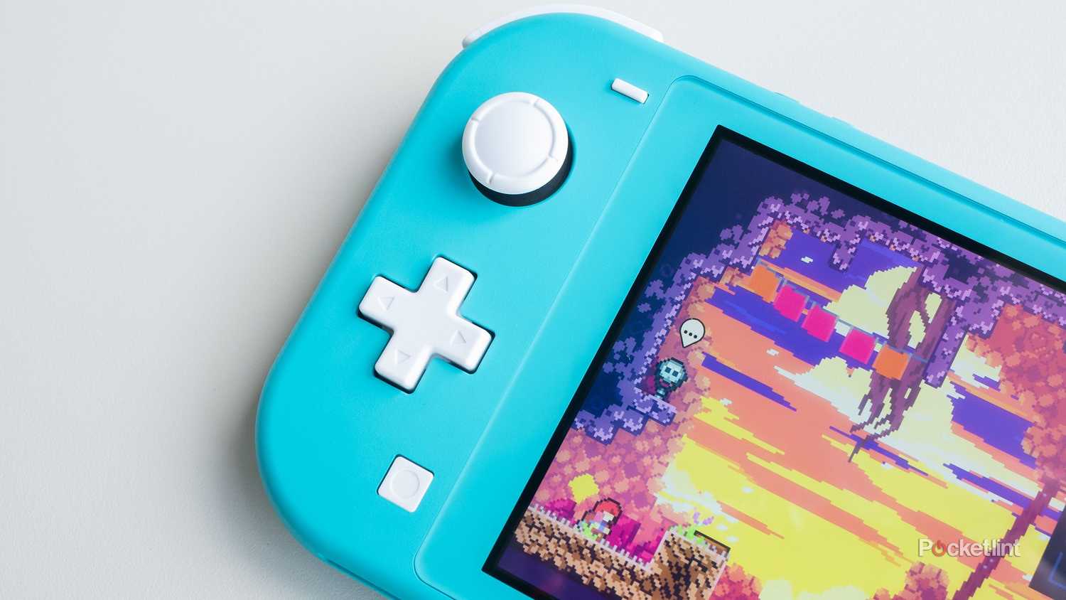 Nintendo Switch Lite d-pad