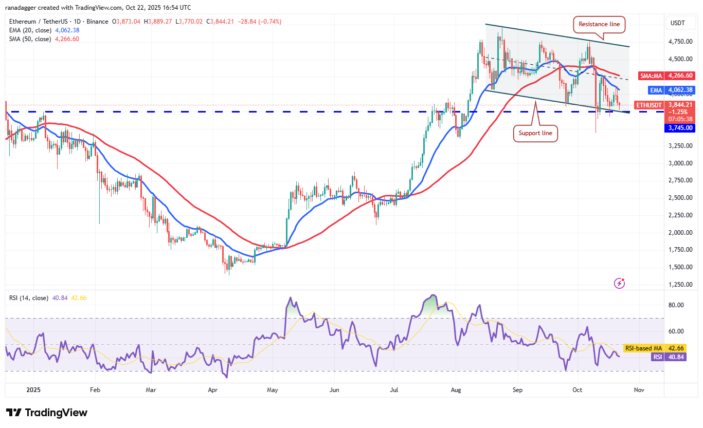 Dogecoin، Cryptocurrency، Stellar، Bitcoin Price، XRP، Markets، Cryptocurrency Exchange، Cardano، تجزیه و تحلیل قیمت، Chainlink، تجزیه و تحلیل بازار، اتر قیمت، Solana، BNB