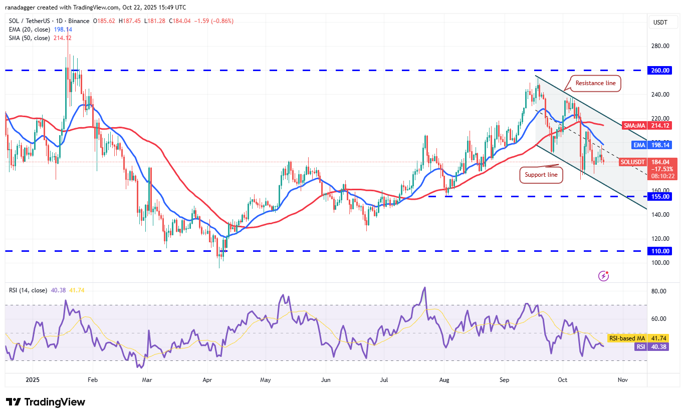 Dogecoin، Cryptocurrency، Stellar، Bitcoin Price، XRP، Markets، Cryptocurrency Exchange، Cardano، تجزیه و تحلیل قیمت، Chainlink، تجزیه و تحلیل بازار، اتر قیمت، Solana، BNB