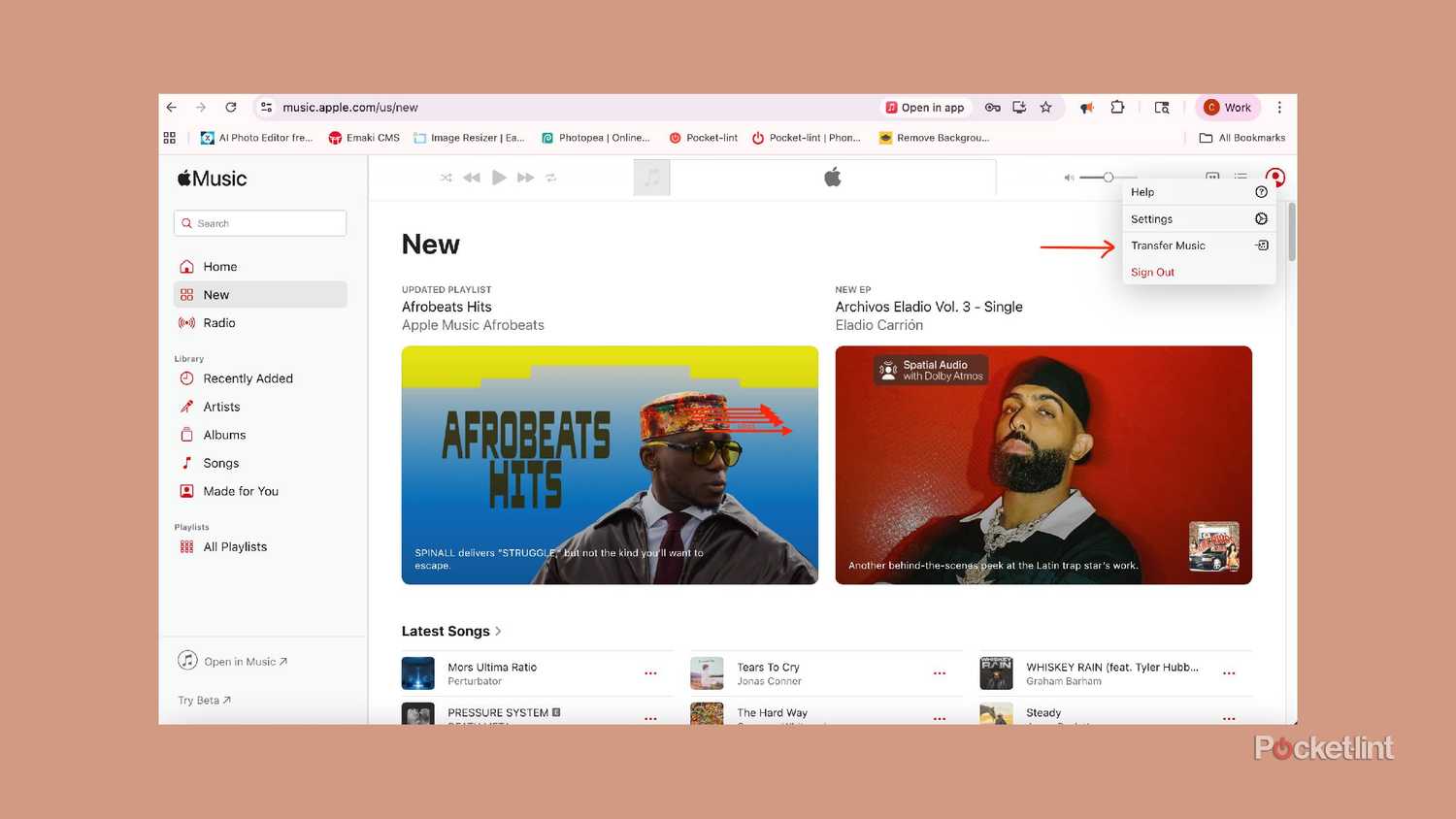 صفحه اصلی Apple Music با فلشی که به Transfer Music اشاره دارد.