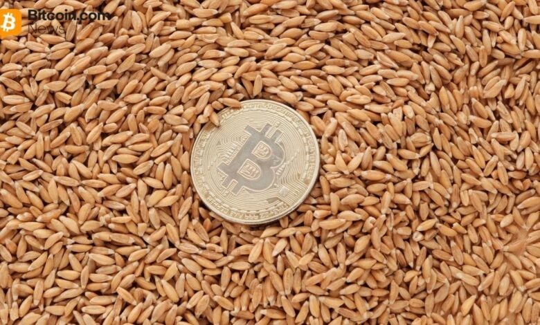 DDC Enterprise 124 میلیون دلار برای تسریع در گسترش خزانه داری بیت کوین تضمین می کند