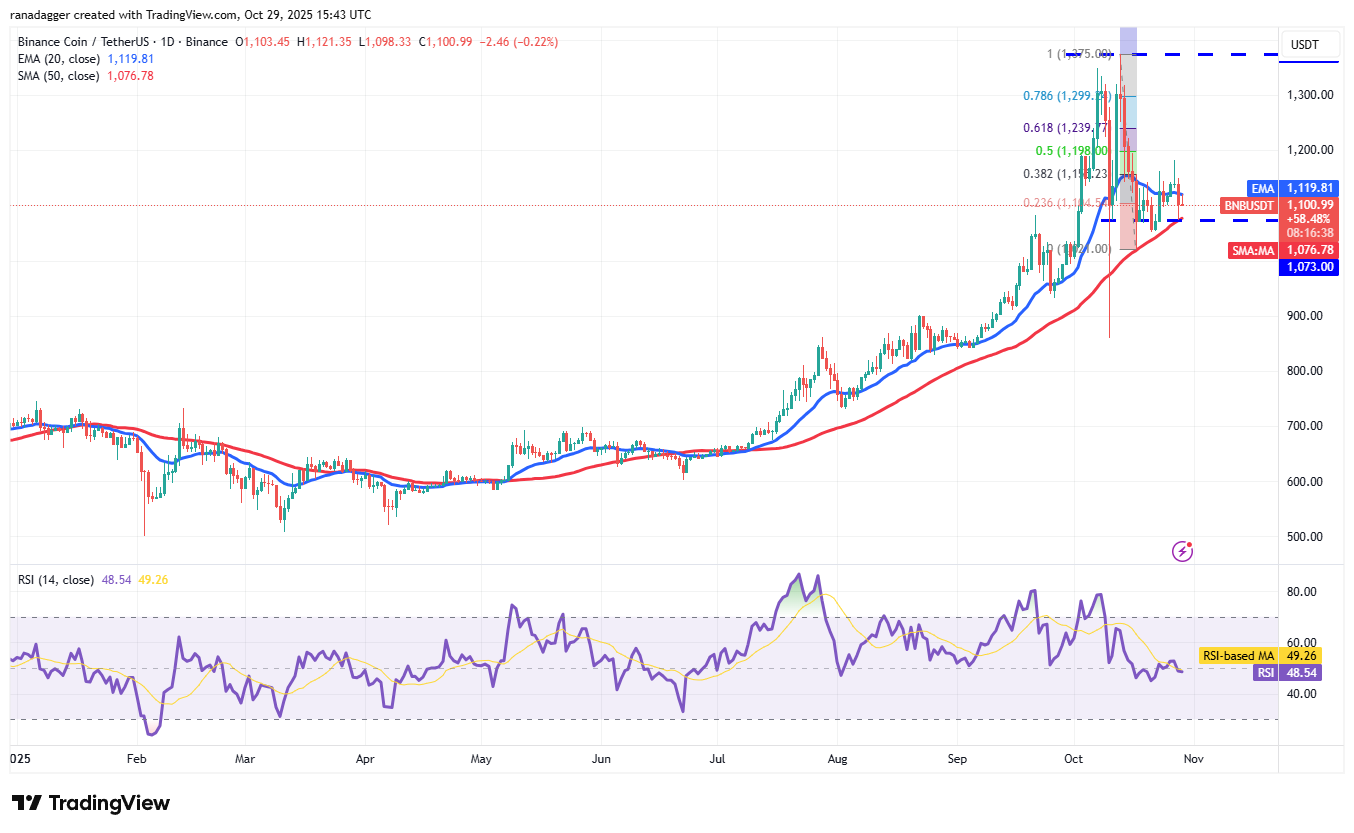 دوج کوین، ارزهای دیجیتال، قیمت بیت کوین، XRP، بازارها، ایالات متحده، صرافی ارز دیجیتال، بیت کوین کش، کاردانو، تجزیه و تحلیل قیمت، لینک زنجیره ای، تجزیه و تحلیل بازار، قیمت اتر، سولانا، بیت کوین ETF، ETF، BNB