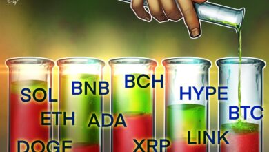 بیت کوین به 100 هزار دلار جهش می کند، آیا آلت کوین ها از آن پیروی می کنند؟