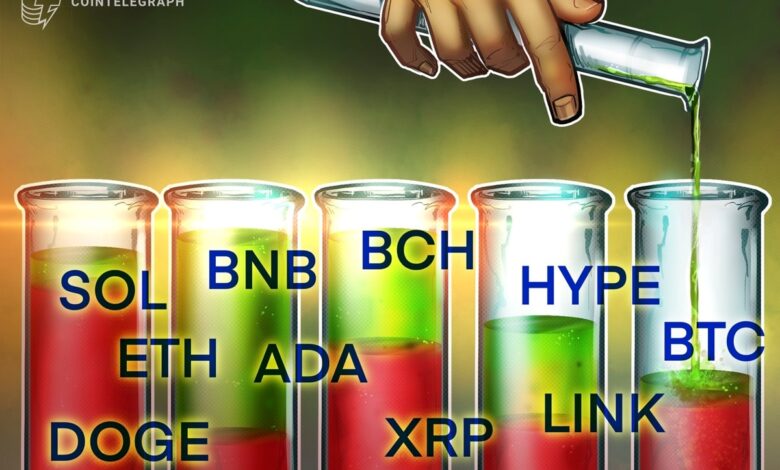 بیت کوین به 100 هزار دلار جهش می کند، آیا آلت کوین ها از آن پیروی می کنند؟