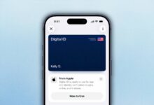 ویژگی Apple Wallet که منتظرش بودم بالاخره آمد