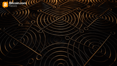 گروه NIP ماهانه 160 بیت کوین پس از معامله زیرساختی بزرگ تولید می کند