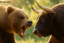 دیدهبان قیمت بیتکوین: در زیرزمین گیر کردهایم- آیا در مرحله بعدی جهش است یا شکست؟