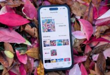 نینتندو بی سر و صدا یک راه سرگرم کننده برای بازدید مجدد از روزهای 3DS و Wii U خود منتشر کرد