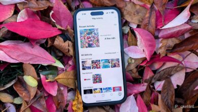 نینتندو بی سر و صدا یک راه سرگرم کننده برای بازدید مجدد از روزهای 3DS و Wii U خود منتشر کرد