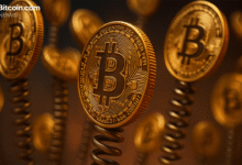 رستاخیز بیت کوین: 298 میلیون دلار در بیت کوین خفته در ماه اکتبر به زندگی بازگشت