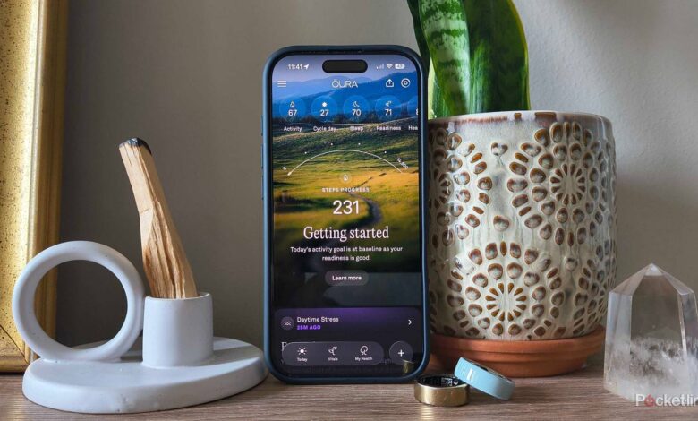 این ارتقاء رایگان Oura، پایبندی به اهداف تناسب اندام من را آسانتر از همیشه می کند