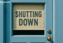 Dappradar اعلام کرد که در بحبوحه تغییر بازار Web3، به طور کامل خاموش می شود. رادار اسلاید 32%